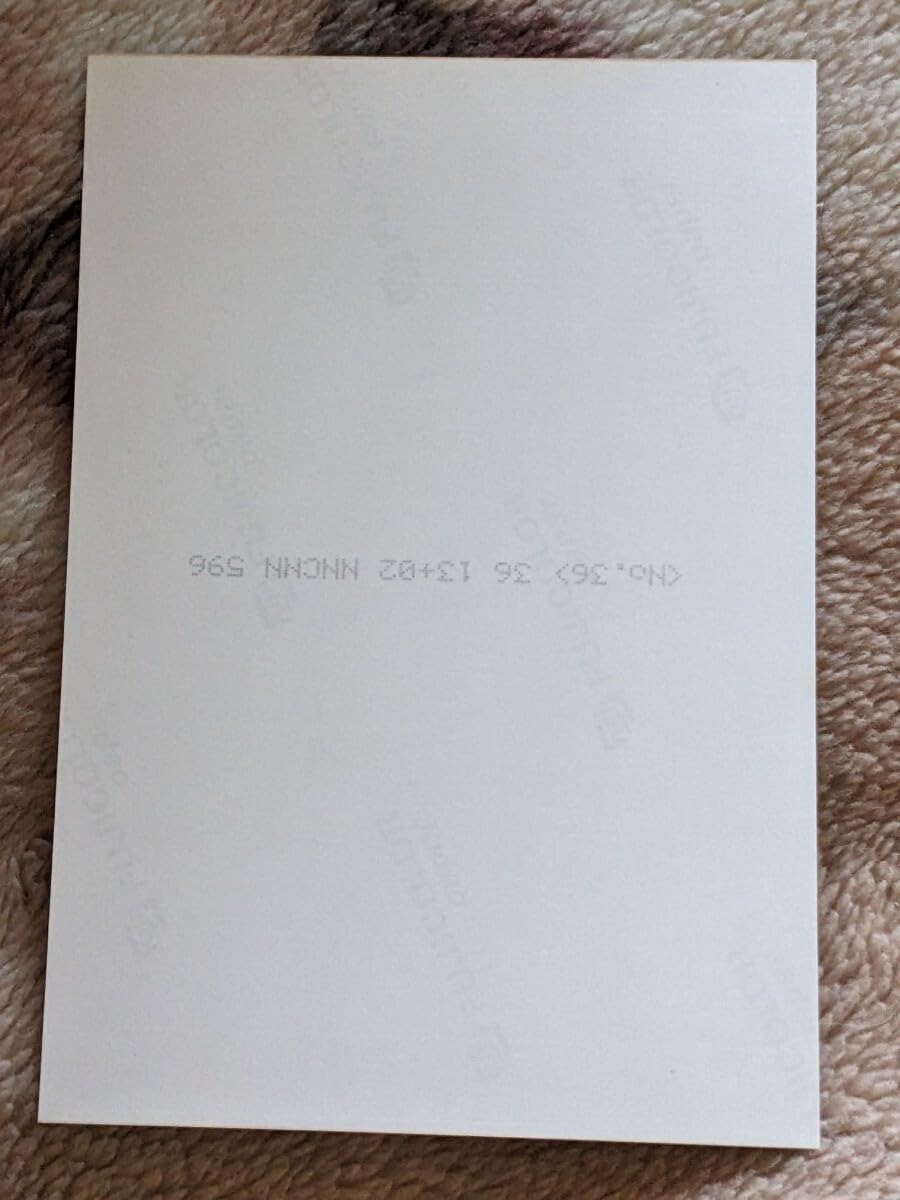 Amazon.co.jp: Kissmint comesta Landmark レースクイーン ハイレグ